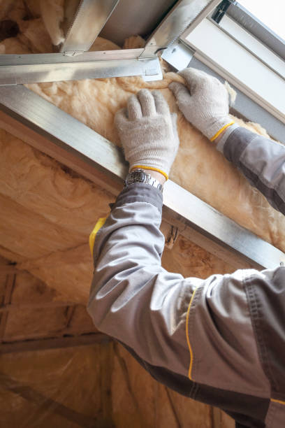 Best Insulation Maintenance and Repair in Wofford Heights, CA
